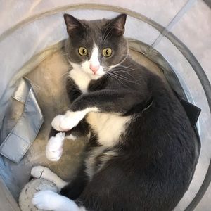 Meet your Posher, Ann